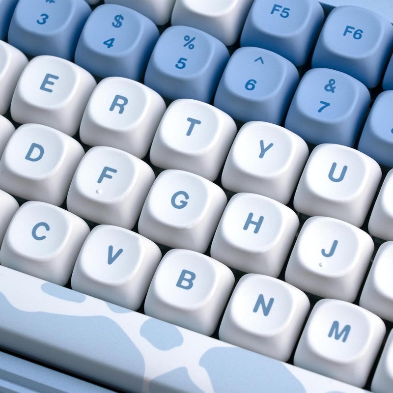 OHY XVX Dolphin Theme PBT Dye-Sub Keycaps Set, 145-Key Blue Custom Keycaps for 75% Mechanical Keyboards (Compatible with Cherry MX/Gateron Switches & Mac/Windows PC) - Image 4